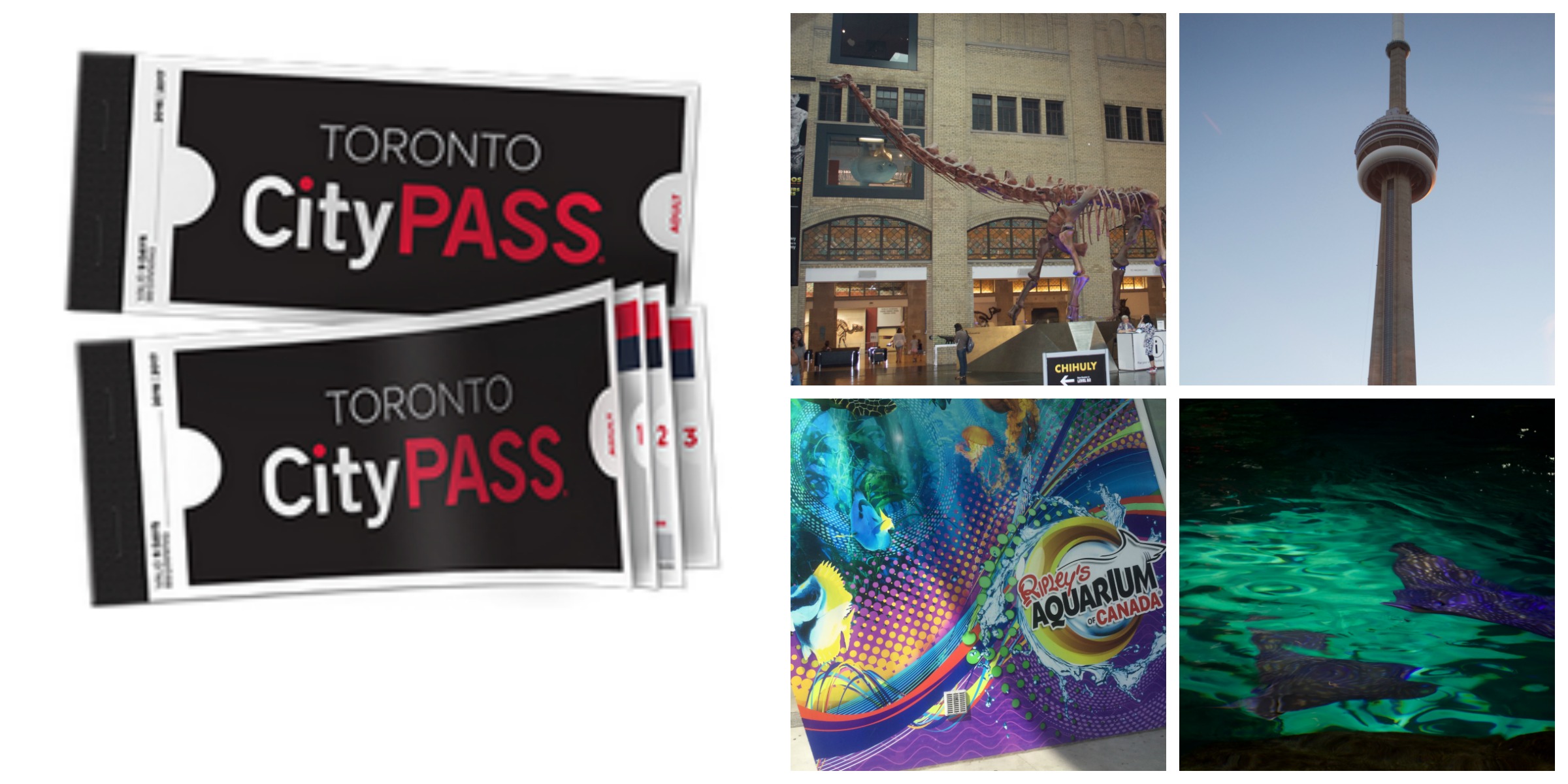 Toronto City Pass Nyc Single Mom