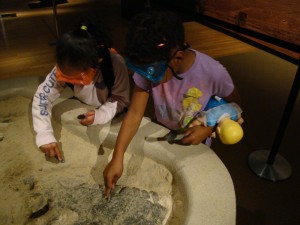 Uncovering a Fossil at the Dig Pit