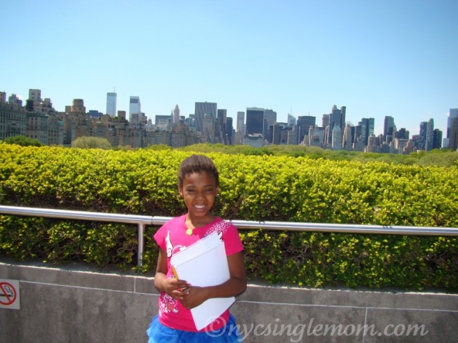 Metropolitan Museum of Art  Roof Top View