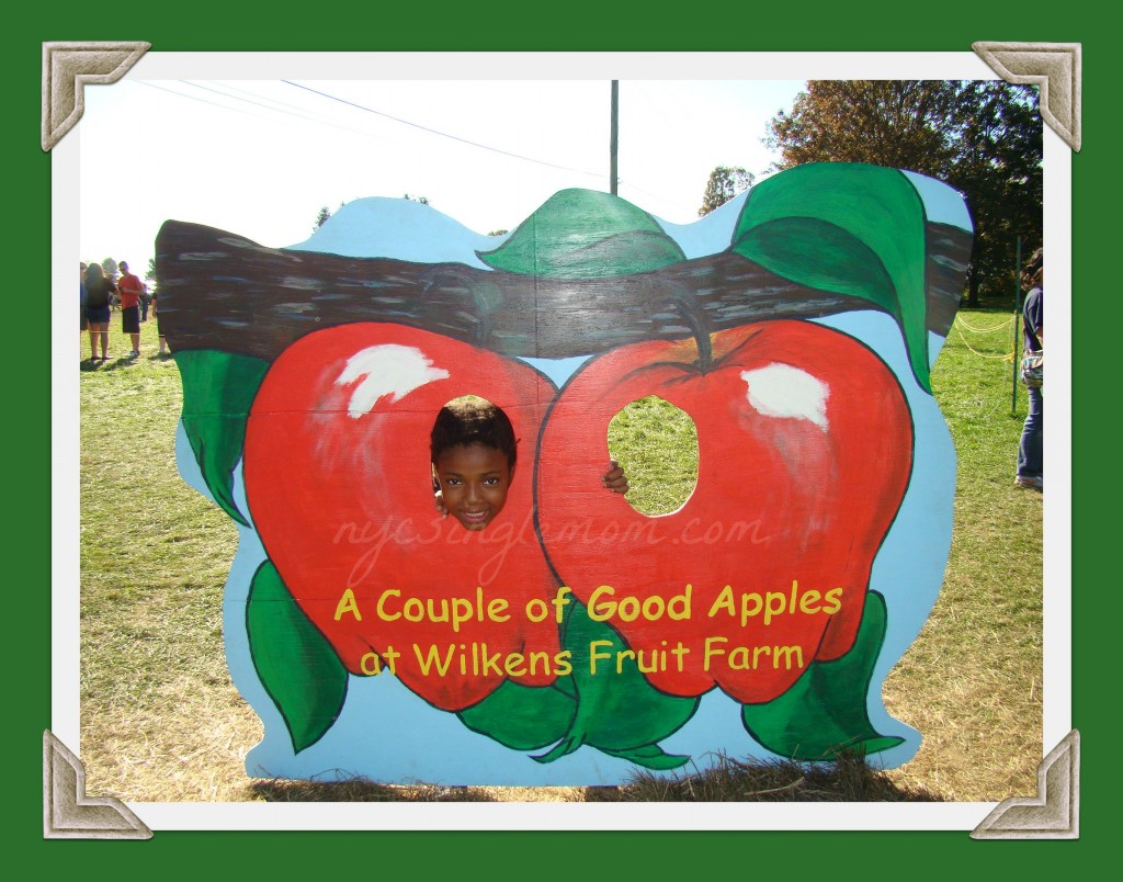 things to do in nyc with kids, nyc day trips, day trips from nyc, pumpkin picking in new york, apples orchards in new york, where to pick apples in new york, apple picking in new york,