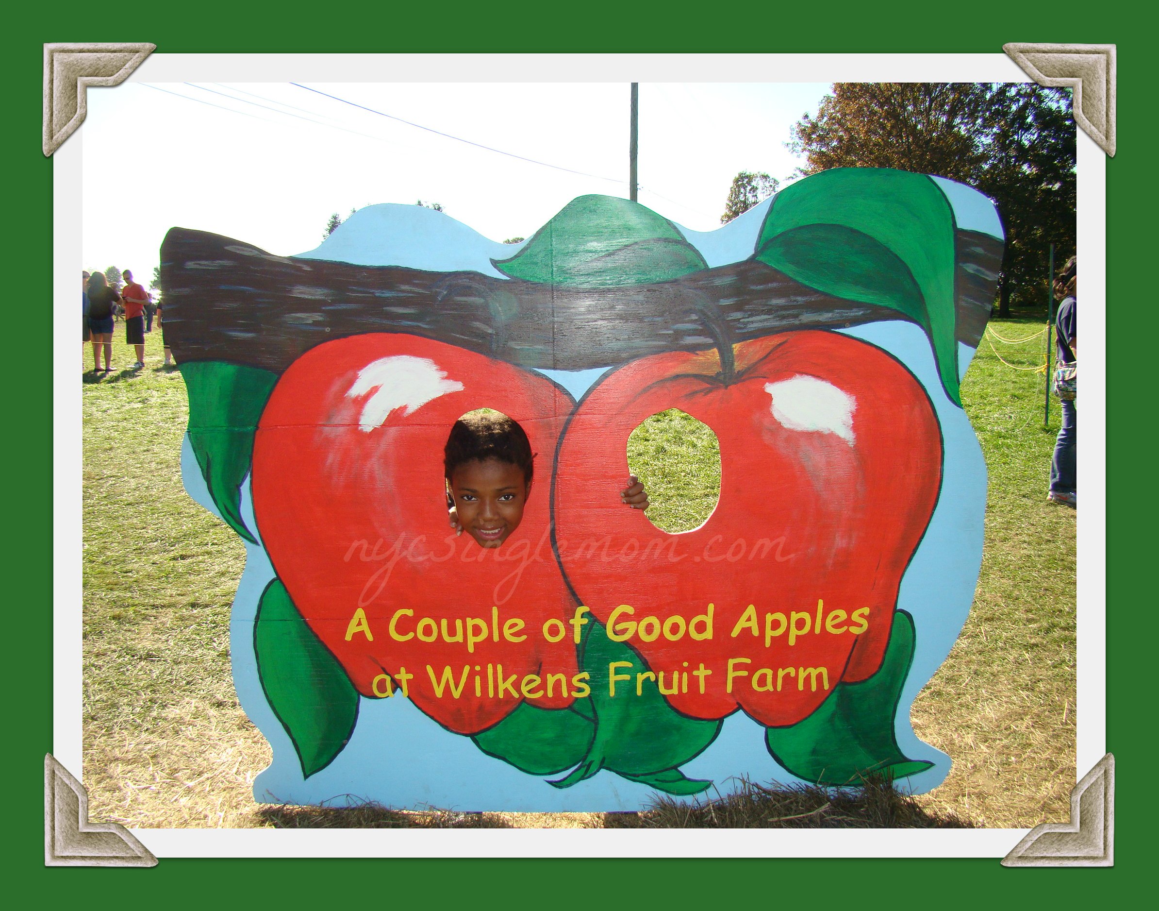 pumpkin picking in new york, apples orchards in new york, where to pick apples in new york, apple picking in new york,