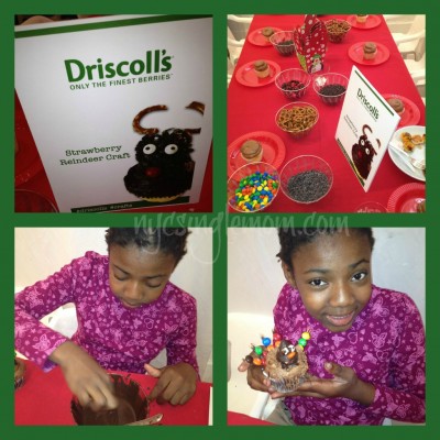 Driscolls Berries, organic foods, organic berries, holiday arts and crafts