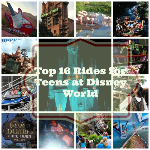 Disney World Rides for Tweens and Teens