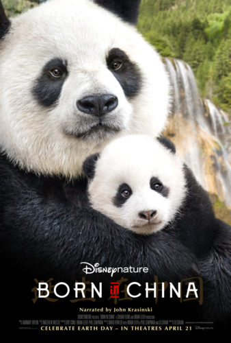 borninchinaposter