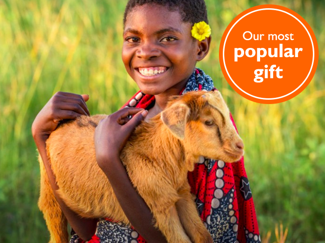 Look to World Vision Gift Catalog for Holiday Gift Giving ...