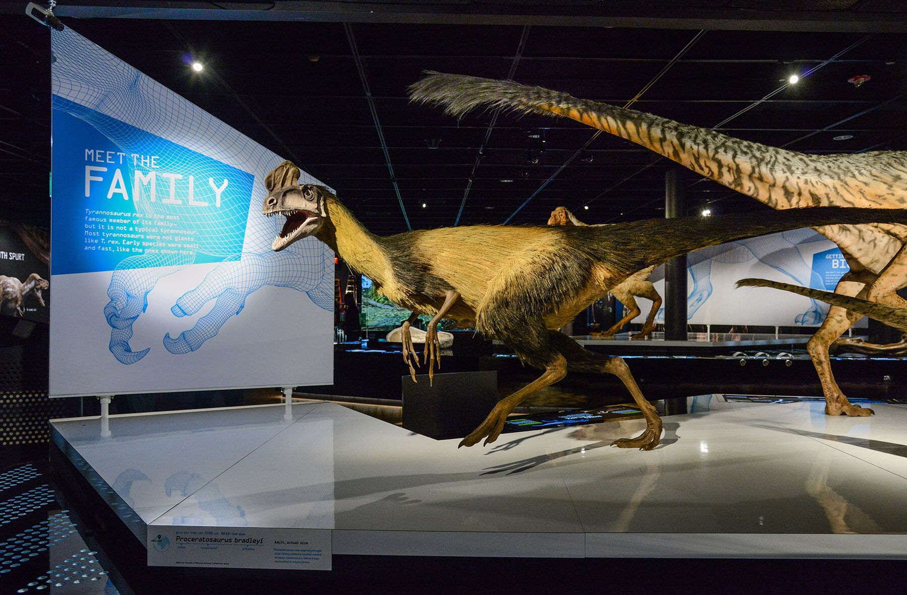 predator vs prey dinosaur exhibit
