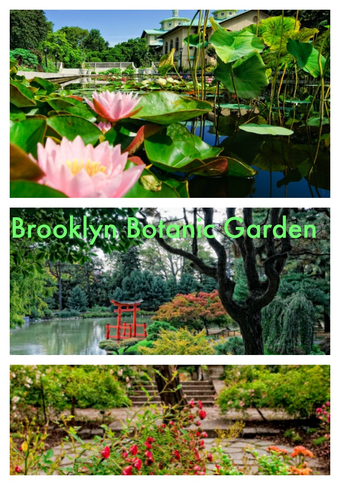 Brooklyn Botanic Garden